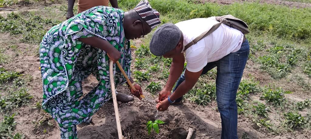 🔎 Visite de terrain et échanges techniques à Adja-Ouèrè

Le Réseau Cerdi-Alumni du Bénin a effectué, le samedi 13 décembre 2025, une visite à la Coopérative Élite du Bénin, située dans la commune… | CERDI ALUMNI BENIN